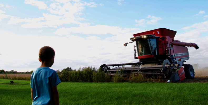 Child in front of harvester