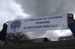 1,2 million EU citizens demand a pesticide-free Europe