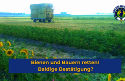 Bienen und Bauern retten - Baldige Bestätigung?