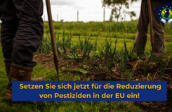 Bienen und Bauern retten - Wir bitten auch weiter um Ihre Hilfe dabei, den Pestizideinsatz zu stoppen!