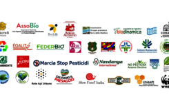 Logos of the Italian ECI alliance