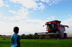 Child in front of harvester