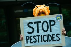 person holds sign with "STOP PESTICIDES" on it